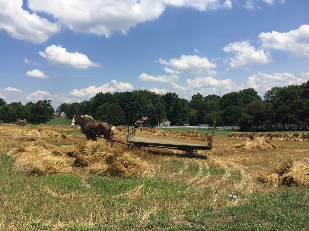 Philadelphia-Amish-Country-Tour